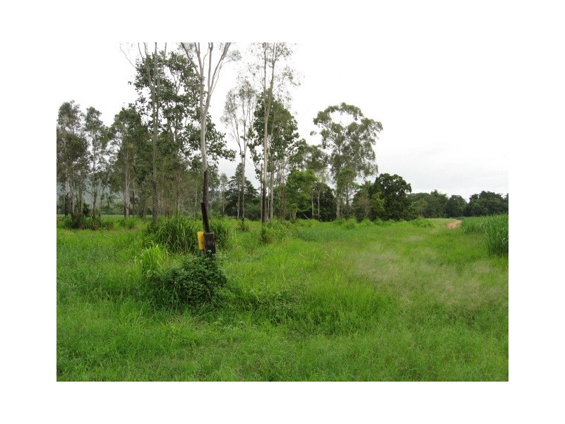 Lot 1 Dingo Beach Road, Proserpine QLD 4800
