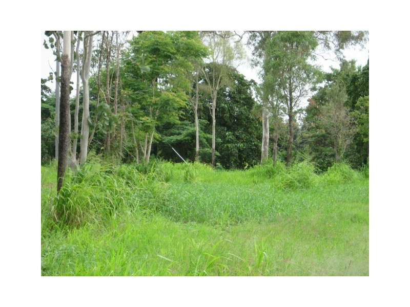 Lot 1 Dingo Beach Road, Proserpine QLD 4800