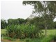 Lot 1 Dingo Beach Road, Proserpine QLD 4800