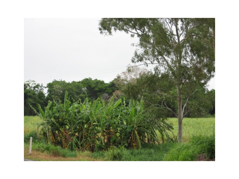 Lot 1 Dingo Beach Road, Proserpine QLD 4800