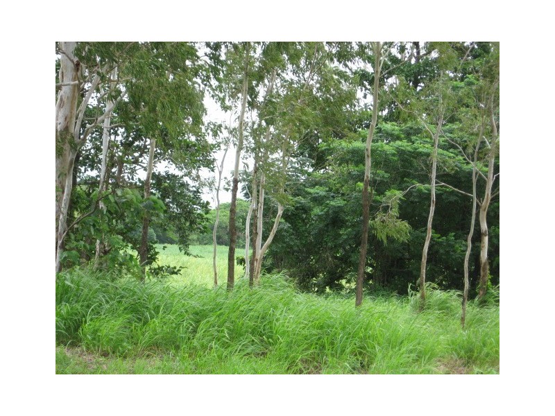 Lot 1 Dingo Beach Road, Proserpine QLD 4800