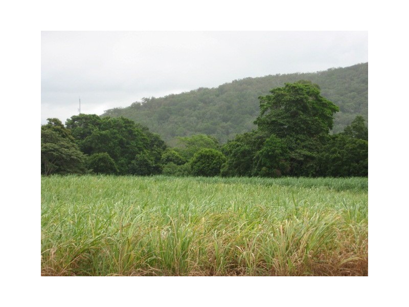 Lot 1 Dingo Beach Road, Proserpine QLD 4800