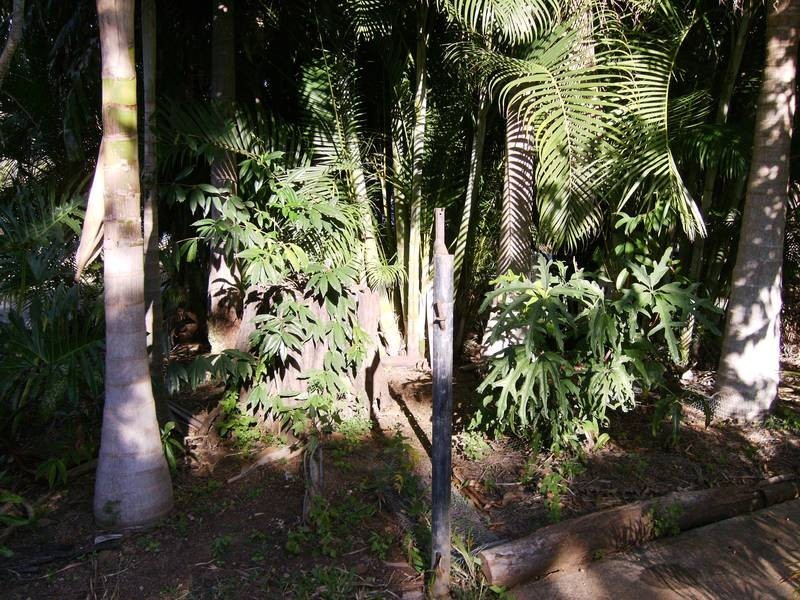 Lot 91 Midge Point Rd, Midge Point QLD 4799