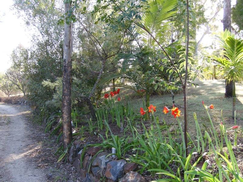 Lot 91 Midge Point Rd, Midge Point QLD 4799
