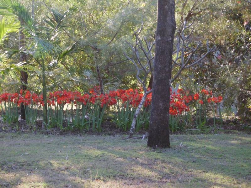 Lot 91 Midge Point Rd, Midge Point QLD 4799