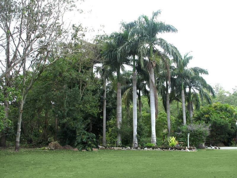 34 Braithwaite Crescent, Cannonvale QLD 4802