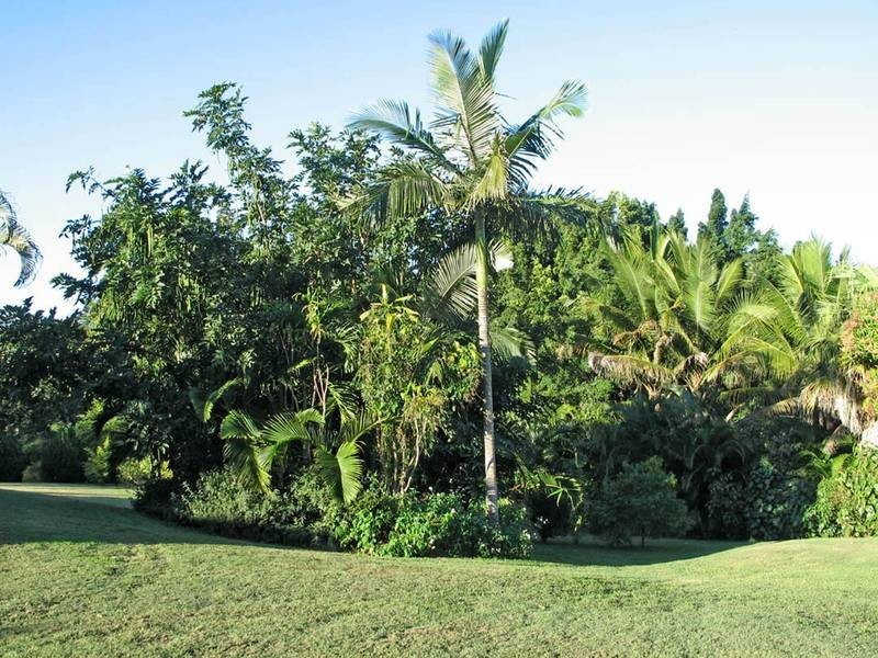 34 Braithwaite Crescent, Cannonvale QLD 4802