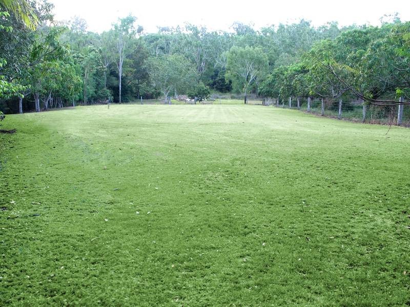 34 Braithwaite Crescent, Cannonvale QLD 4802