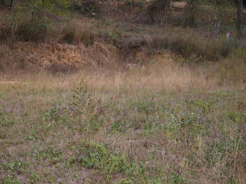 41 Gloucester Avenue, Hideaway Bay QLD 4800