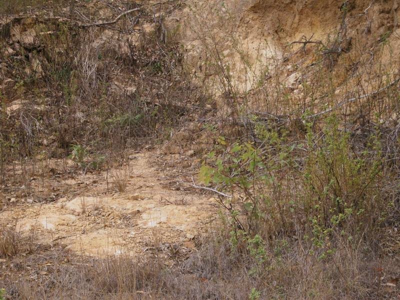 41 Gloucester Avenue, Hideaway Bay QLD 4800