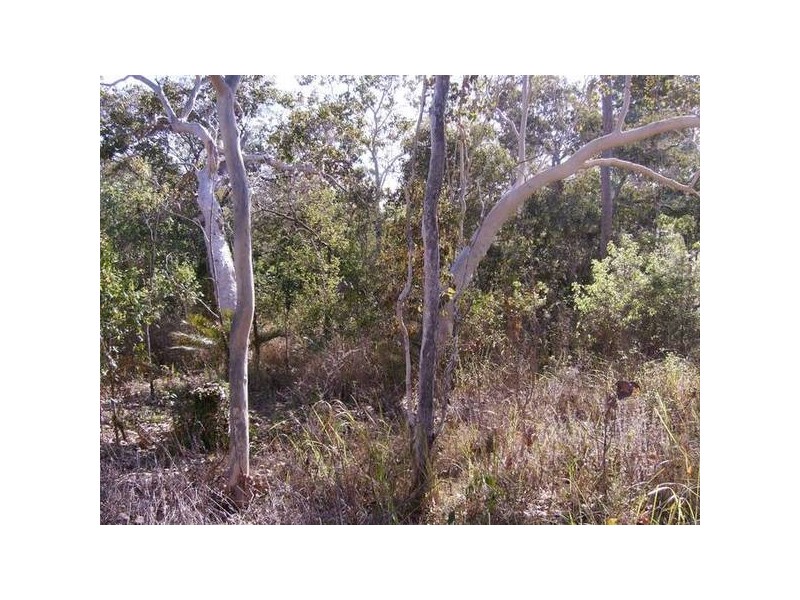 37 Lelona Drive, Midge Point QLD 4799