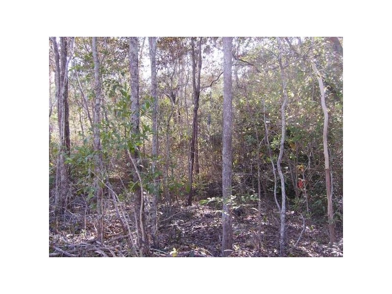 37 Lelona Drive, Midge Point QLD 4799