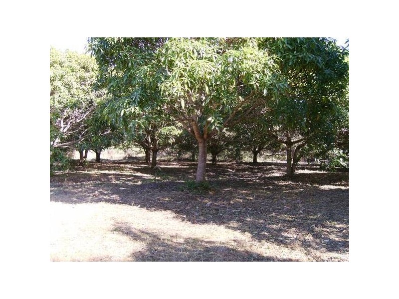 lot 5 Bundesen Avenue, Midge Point QLD 4799