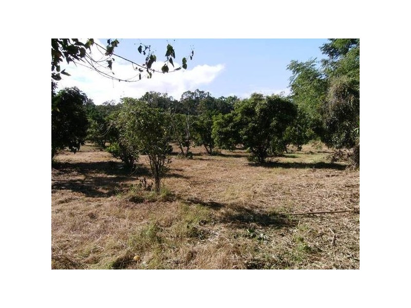 lot 5 Bundesen Avenue, Midge Point QLD 4799