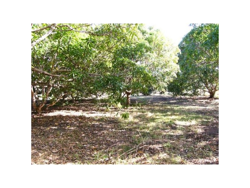 lot 5 Bundesen Avenue, Midge Point QLD 4799