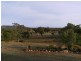 72 Lindeman Drive, Midge Point QLD 4799