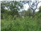 14 Saddleback Road, Hideaway Bay QLD 4800