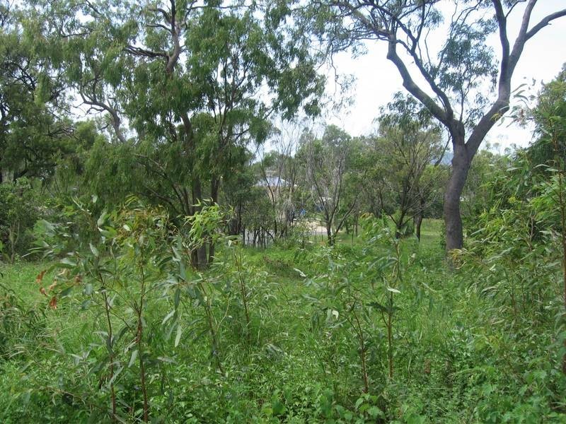 14 Saddleback Road, Hideaway Bay QLD 4800
