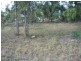 16 Saddleback Road, Hideaway Bay QLD 4800