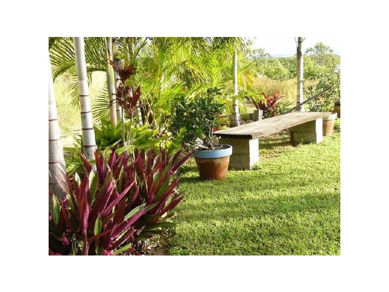 1323 Midge Point Rd, Midge Point QLD 4799