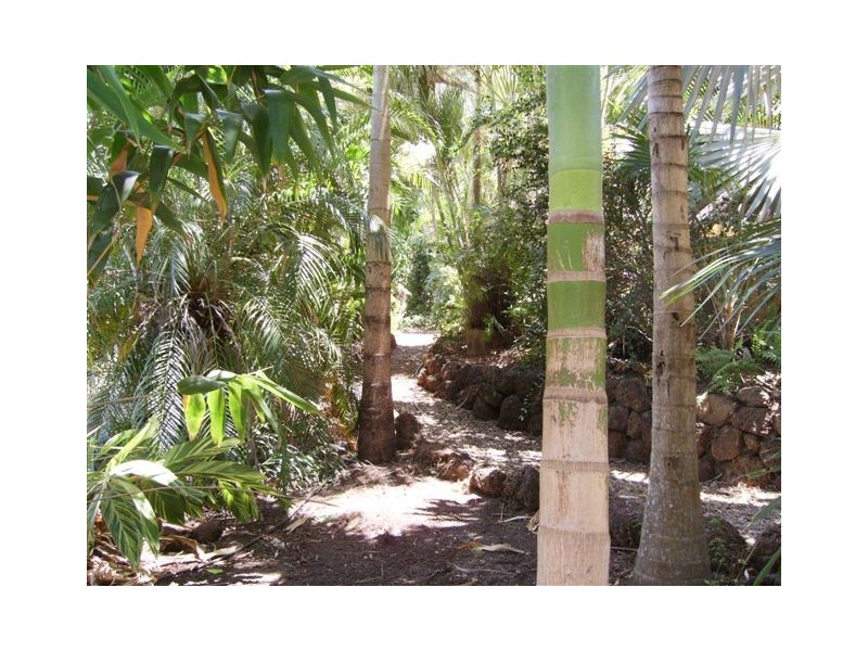 473 Shute Harbour Road Mount Julian, Proserpine QLD 4800