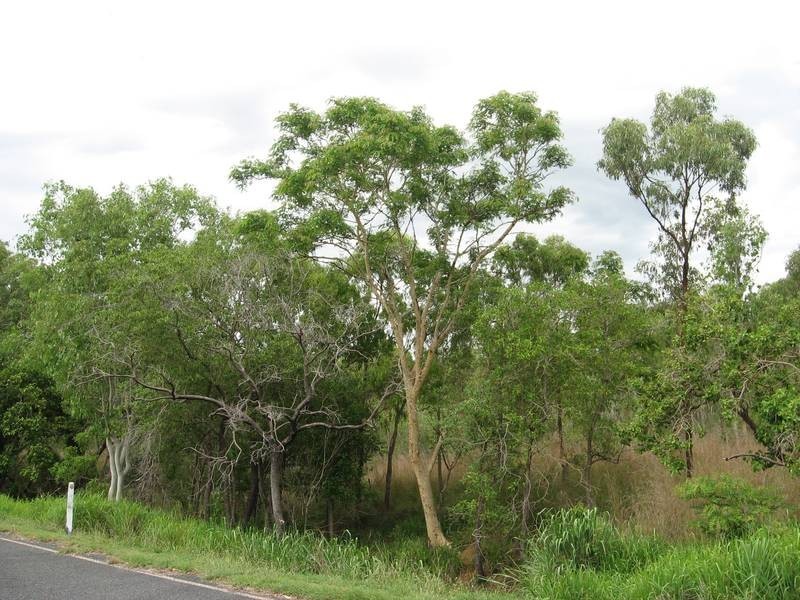 Lot 05 Bruce Highway, Bloomsbury QLD 4799