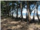 7 Penhallurick Drive, Conway Beach QLD 4800