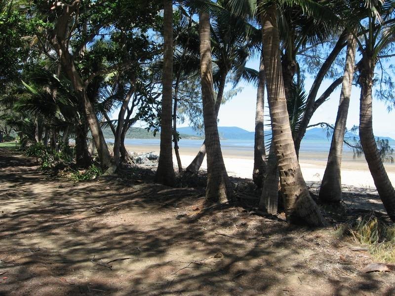 7 Penhallurick Drive, Conway Beach QLD 4800