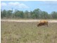 Lot 2 Kelsey Creek Road, Kelsey Creek QLD 4800