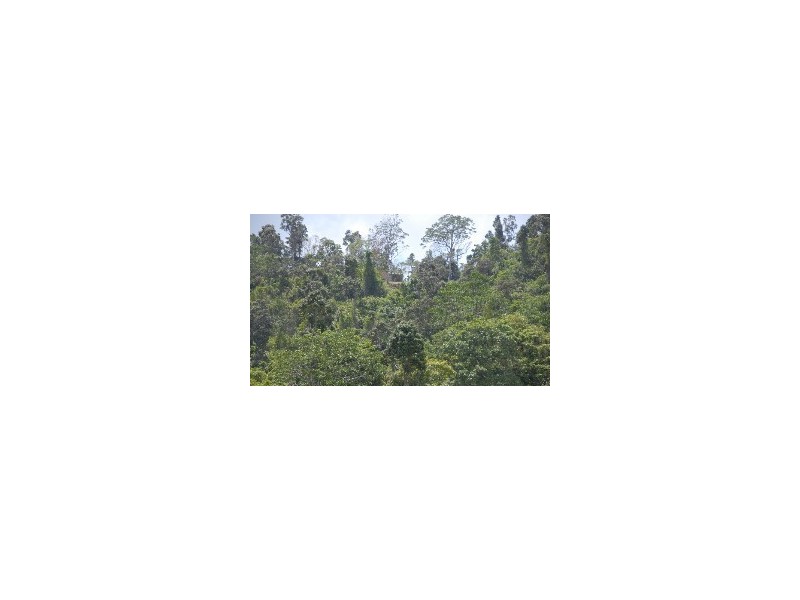 Lot 67 Brandy Creek Road, Cannon Valley QLD 4800