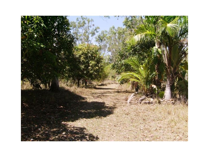 Lot 131 Whitsunday Drive, Bloomsbury QLD 4799