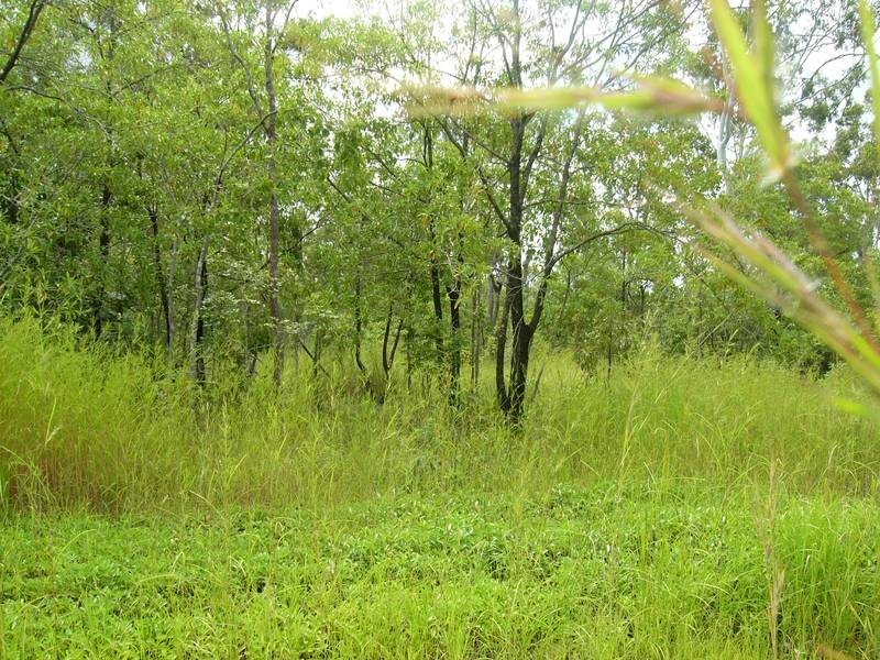 3 Lelona Drive, Bloomsbury QLD 4799