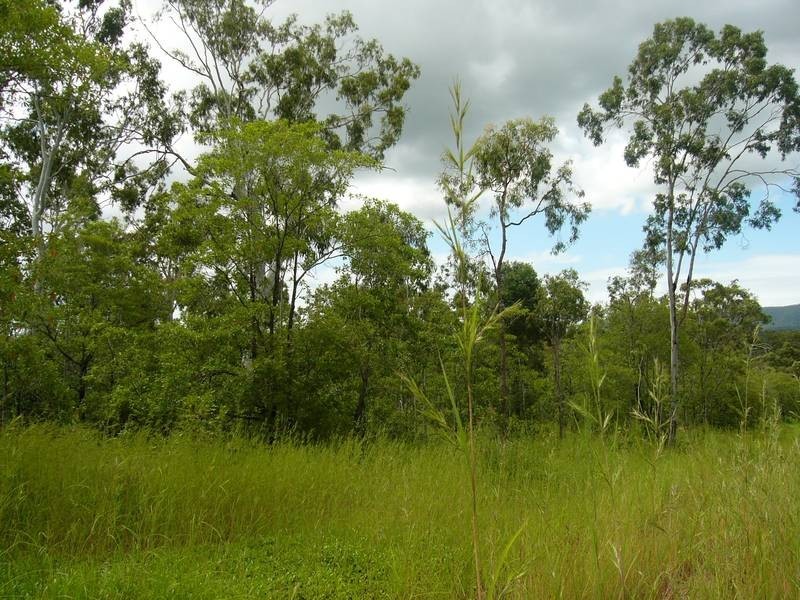 3 Lelona Drive, Bloomsbury QLD 4799