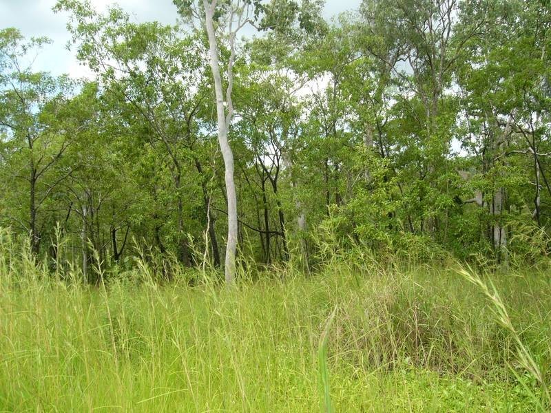 3 Lelona Drive, Bloomsbury QLD 4799