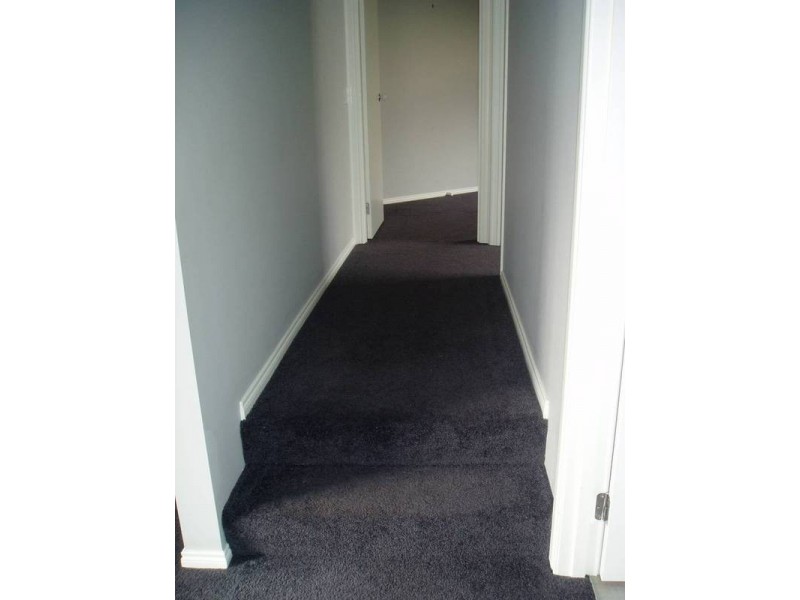 806 Tress Street, Mount Pleasant VIC 3350