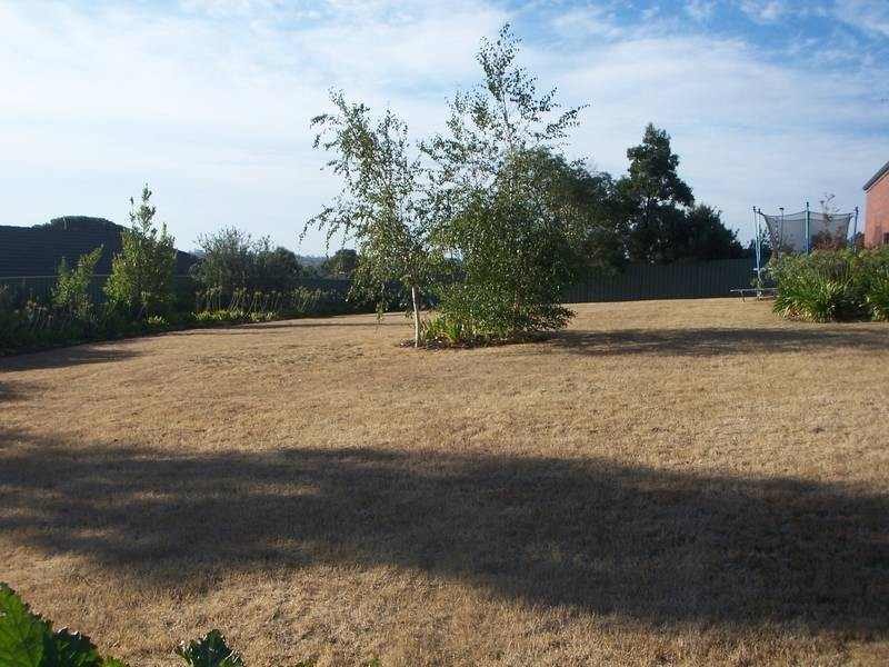 Mount Pleasant VIC 3350