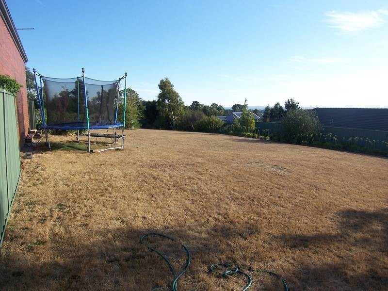 Mount Pleasant VIC 3350