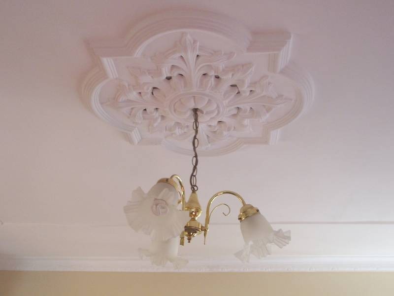 Ballarat East VIC 3350