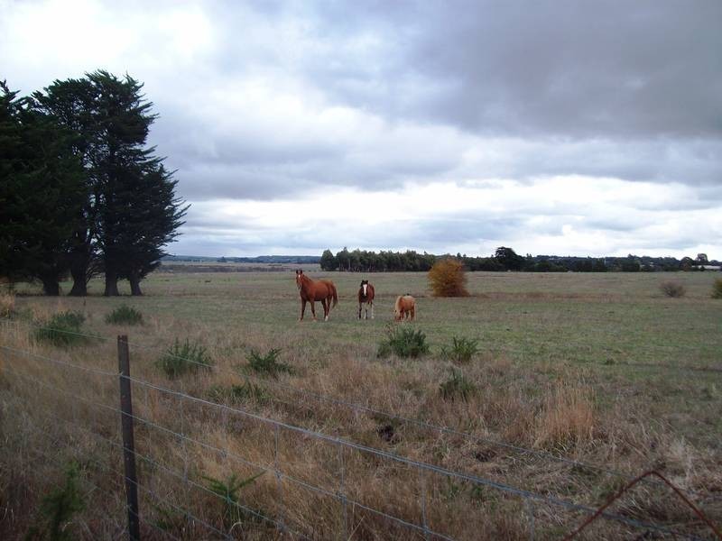Smythes Creek VIC 3351