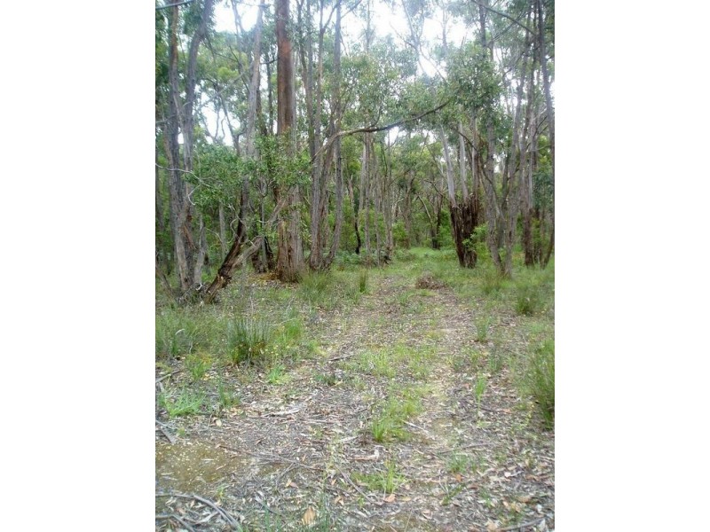 3 Browns Road, Scarsdale VIC 3351