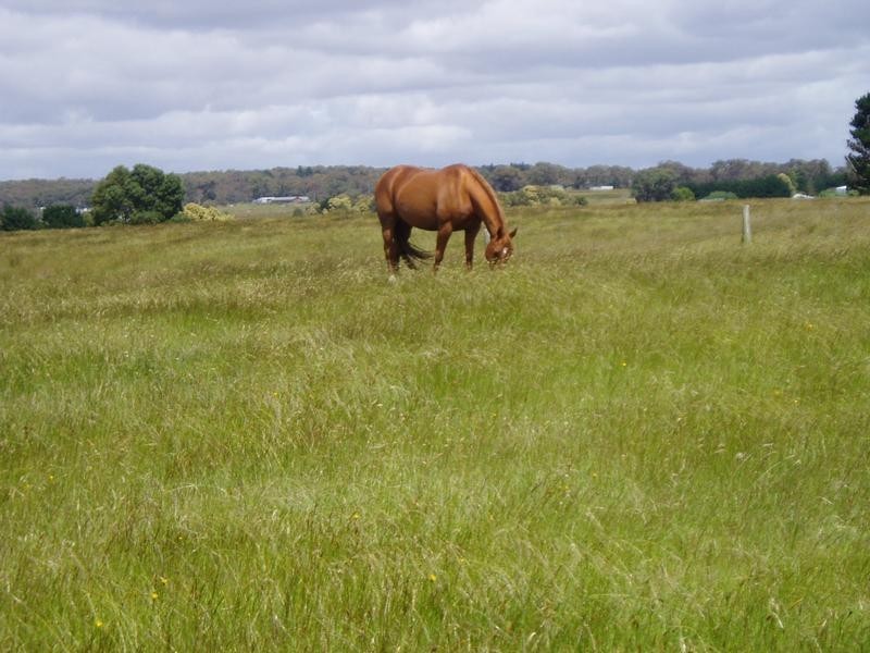 Snake Valley VIC 3351