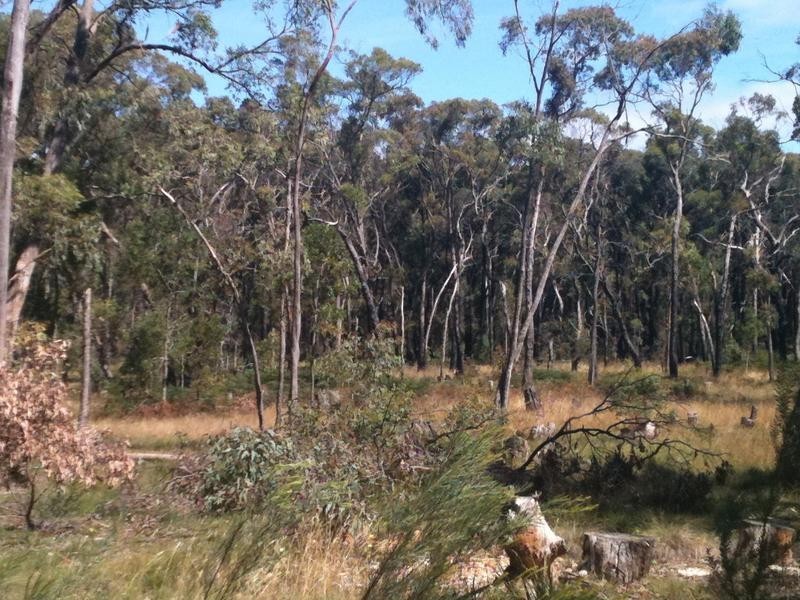 Snake Valley VIC 3351