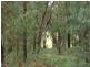 Snake Valley VIC 3351