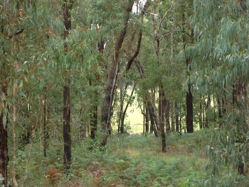 Snake Valley VIC 3351