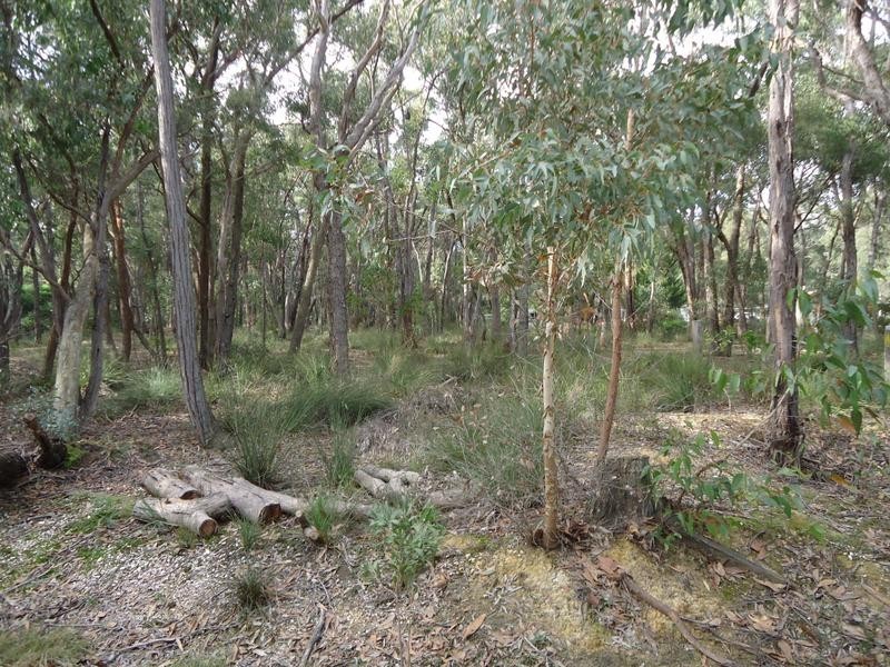 Lot 19, 167 Woodland Drive, Scarsdale VIC 3351