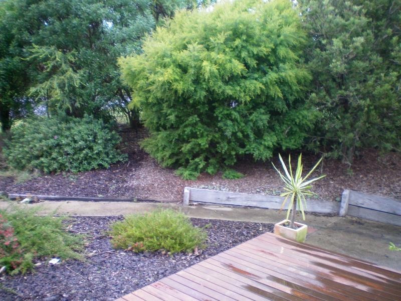 902 Cornish Street, Buninyong VIC 3357