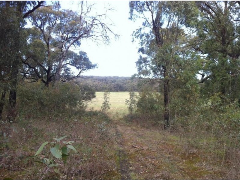 853 Pittong Rd, Snake Valley VIC 3351