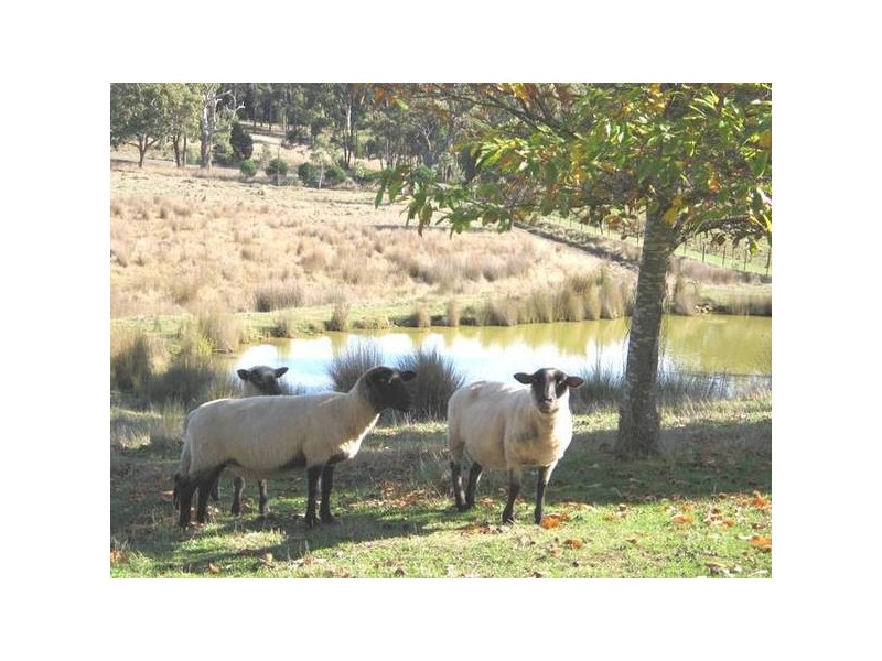 Korweinguboora VIC 3461