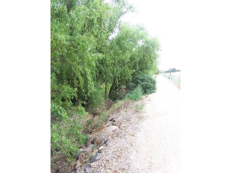 Ballarat East VIC 3350