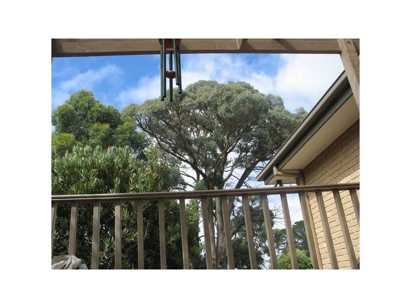 Ballarat East VIC 3350